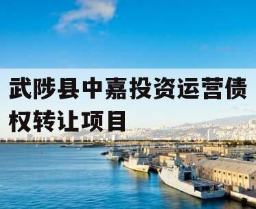 武陟县中嘉投资运营债权转让项目