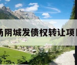 汤阴城发债权转让项目