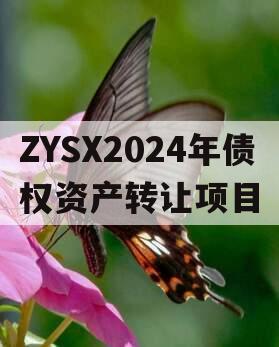 ZYSX2024年债权资产转让项目