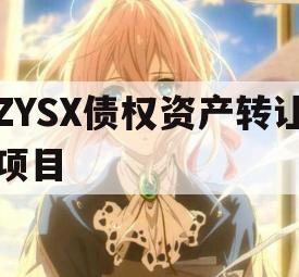 ZYSX债权资产转让项目