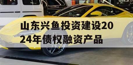 山东兴鱼投资建设2024年债权融资产品