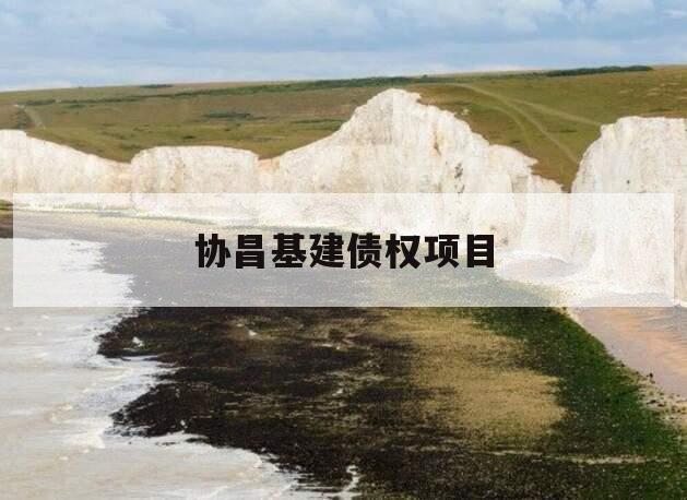 协昌基建债权项目