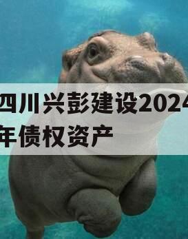 四川兴彭建设2024年债权资产