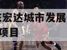 山东宏达城市发展债权1期项目