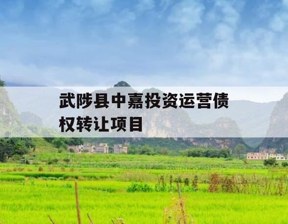 武陟县中嘉投资运营债权转让项目