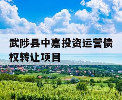 武陟县中嘉投资运营债权转让项目