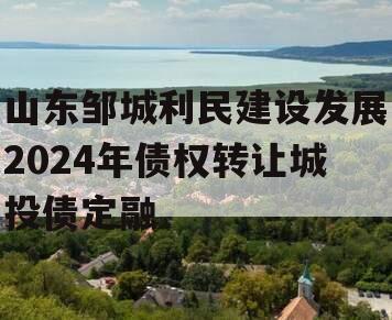 山东邹城利民建设发展2024年债权转让城投债定融