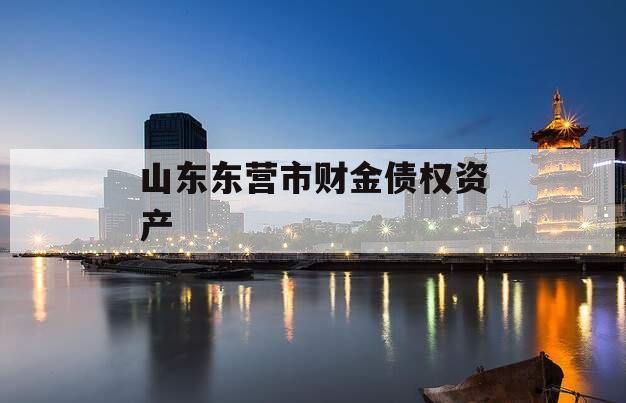 山东东营市财金债权资产