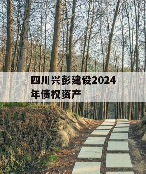 四川兴彭建设2024年债权资产