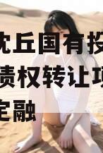 河南沈丘国有投资2024年债权转让项目城投债定融