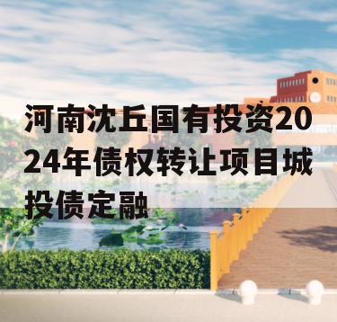 河南沈丘国有投资2024年债权转让项目城投债定融