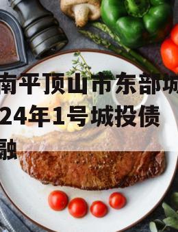 河南平顶山市东部城建2024年1号城投债定融