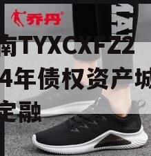 河南TYXCXFZ2024年债权资产城投债定融