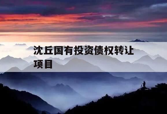 沈丘国有投资债权转让项目