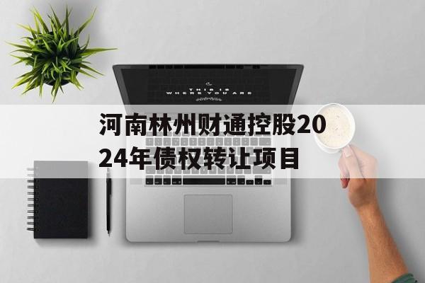 河南林州财通控股2024年债权转让项目