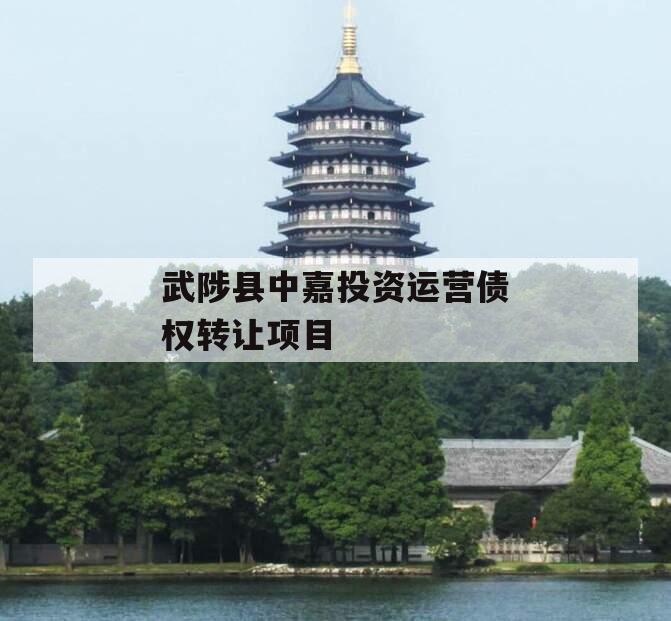 武陟县中嘉投资运营债权转让项目