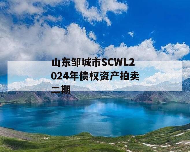 山东邹城市SCWL2024年债权资产拍卖二期