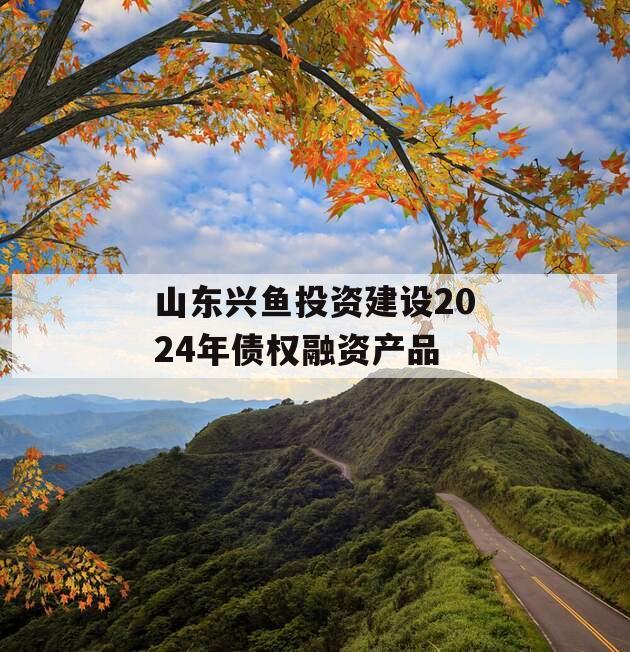 山东兴鱼投资建设2024年债权融资产品