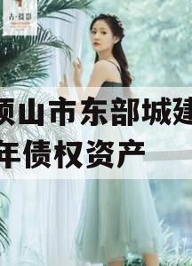 平顶山市东部城建2024年债权资产