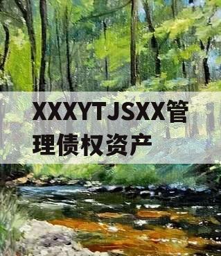 XXXYTJSXX管理债权资产