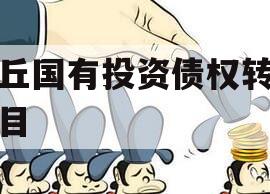 沈丘国有投资债权转让项目