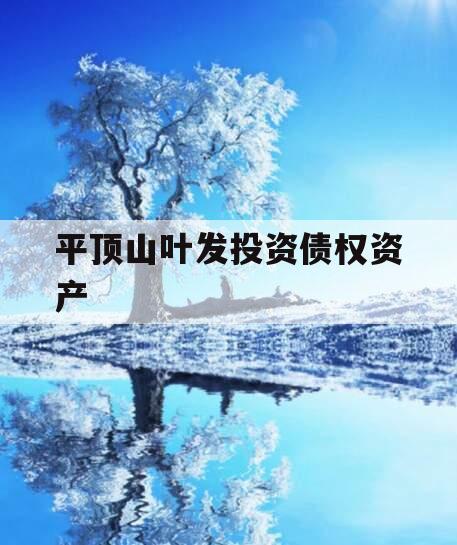 平顶山叶发投资债权资产