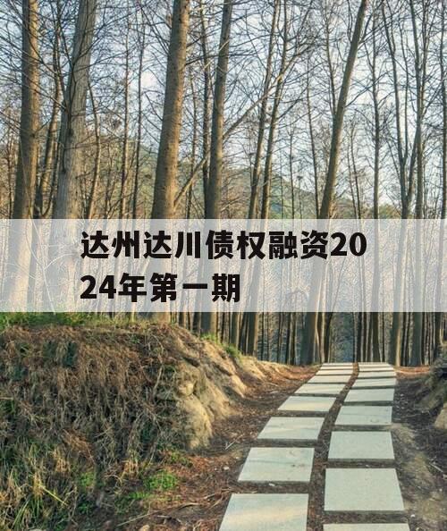 达州达川债权融资2024年第一期