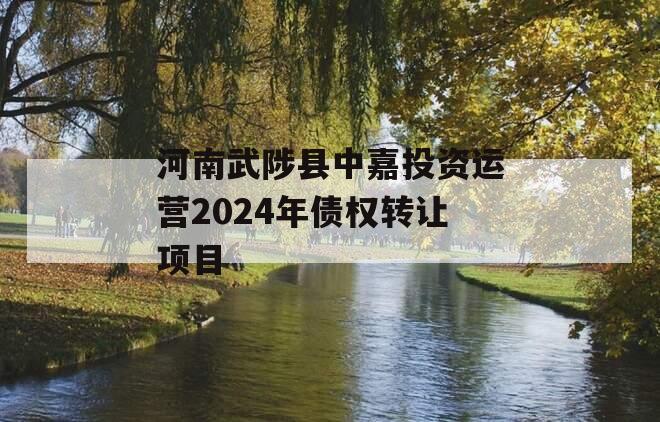 河南武陟县中嘉投资运营2024年债权转让项目