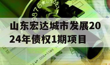 山东宏达城市发展2024年债权1期项目