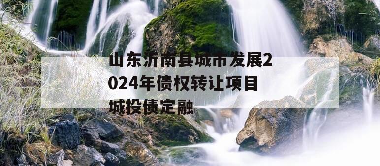 山东沂南县城市发展2024年债权转让项目城投债定融