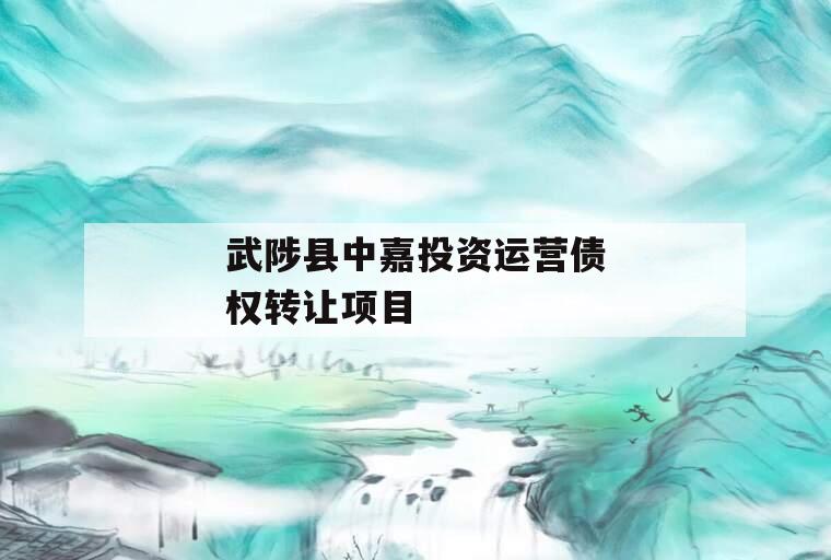 武陟县中嘉投资运营债权转让项目