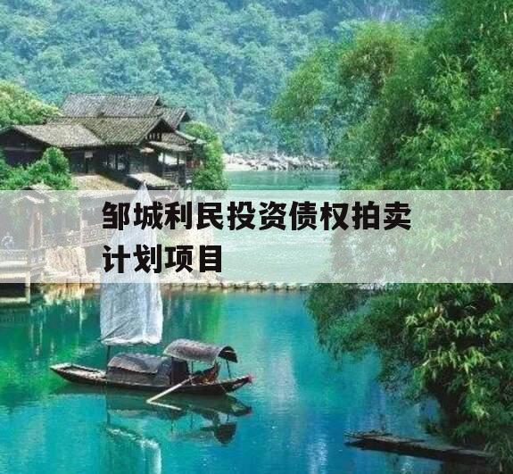 邹城利民投资债权拍卖计划项目