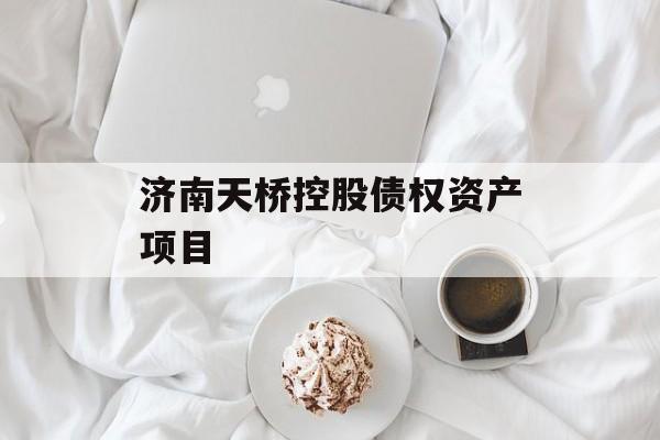 济南天桥控股债权资产项目
