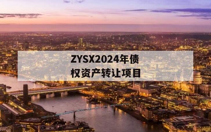 ZYSX2024年债权资产转让项目