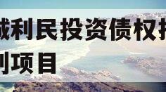 邹城利民投资债权拍卖计划项目