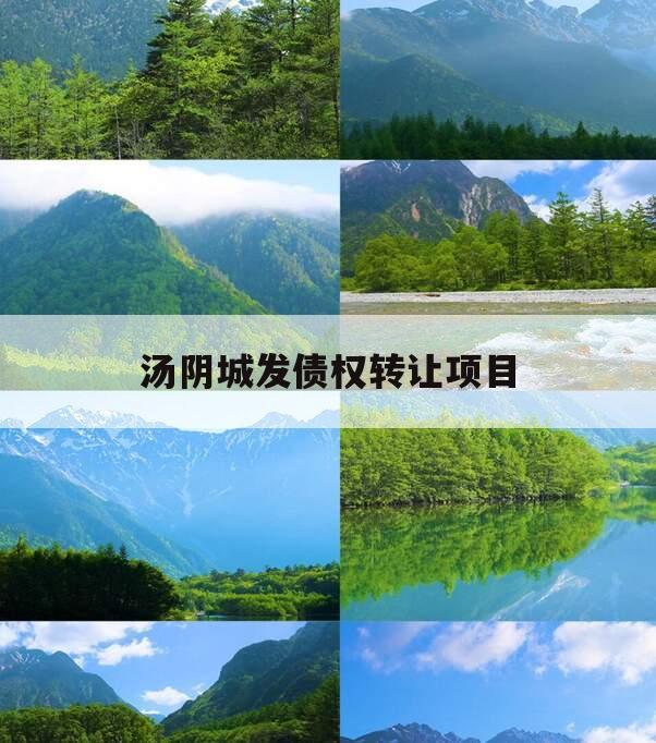 汤阴城发债权转让项目