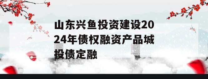 山东兴鱼投资建设2024年债权融资产品城投债定融