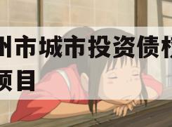 林州市城市投资债权转让项目