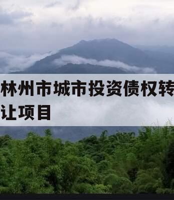 林州市城市投资债权转让项目