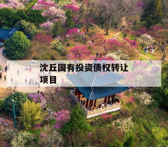 沈丘国有投资债权转让项目