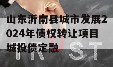 山东沂南县城市发展2024年债权转让项目城投债定融