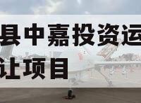 武陟县中嘉投资运营债权转让项目