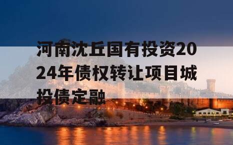 河南沈丘国有投资2024年债权转让项目城投债定融