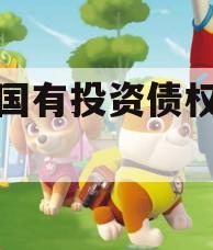 沈丘国有投资债权转让项目