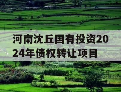 河南沈丘国有投资2024年债权转让项目