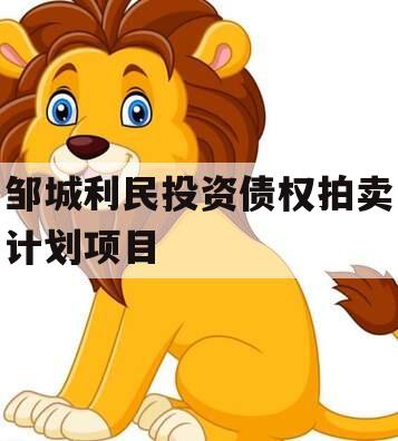 邹城利民投资债权拍卖计划项目