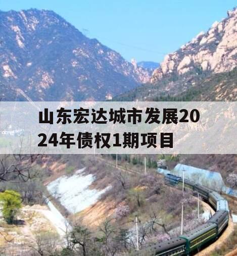 山东宏达城市发展2024年债权1期项目
