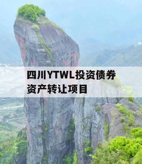 四川YTWL投资债券资产转让项目