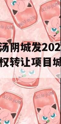 河南汤阴城发2024年债权转让项目城投债定融