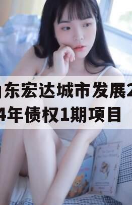山东宏达城市发展2024年债权1期项目